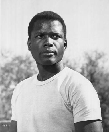 sidney poitier w liliach polnych