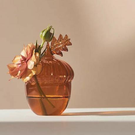 Jesienny szklany wazon z pąkami żołędzi