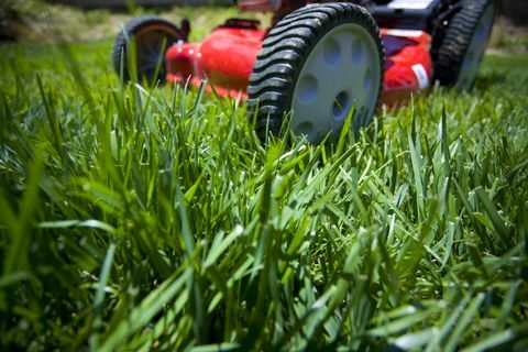 Koszenie trawnika: Płytka głębia ostrości z przodu kosiarki na niesfornym trawniku.