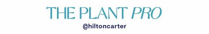 Plant Pro Hilton Carter