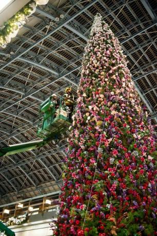 47-stopowa kwiecista choinka odsłonięta na stacji St Pancras International w Londynie.