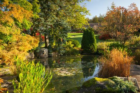 The Sandstone Rock Garden Rhs Garden Harlow Carr Jesień, październik 2019