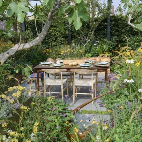chelsea flower show 2021 ogród sanktuarium z pietruszką zaprojektowany przez alan williams