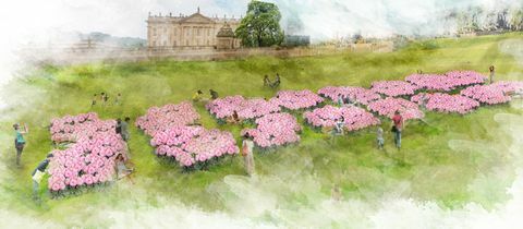 Chatsworth Flower Show 2019