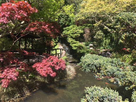 ogród japoński, newquay
