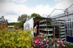 Kiedy centra ogrodnicze zostaną ponownie otwarte w Wielkiej Brytanii? Rządowe zasady blokowania