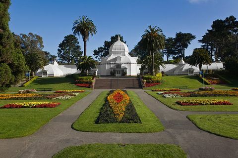 konserwatorem kwiatów jest szklarnia botaniczna w parku golden gate w san francisco