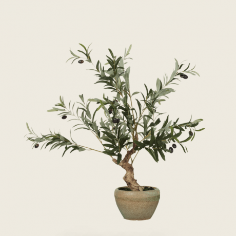 Sztuczne miniaturowe drzewo oliwne