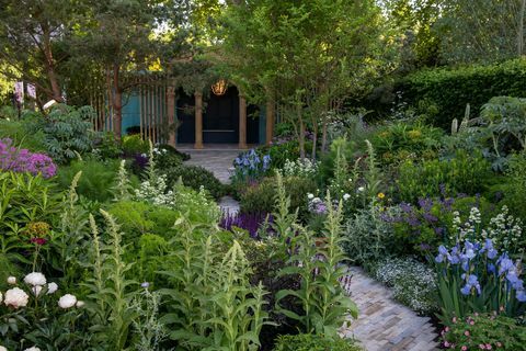 złoty medal Chrisa Beardshawa z chelsea flower show ﻿﻿﻿