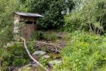 Chelsea Flower Show: Monty Don pyta o zwycięski, zdziczały ogród