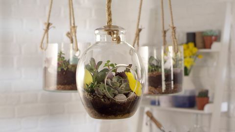 Jak zrobić terrarium wielkanocne