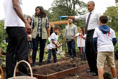 Pierwsza dama USA Michelle Obama i prezydent Barack Obama organizują wydarzenie, aby zebrać ogród kuchenny w Białym Domu na południowym trawniku w Białym Domu 6 października 2016 r. W Waszyngtonie