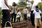 Michelle Obama's White House Kitchen Garden zostanie tutaj