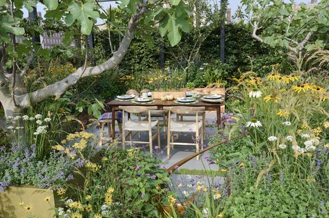 chelsea flower show 2021 ogród z pietruszki zaprojektowany przez alan williams
