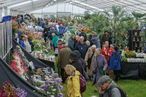 Odwiedzający w namiocie kwiatowym na RHS Malvern Spring Festival 2019.