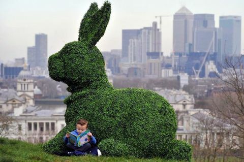 Agrumi - topiary - Easter Bunny Hero